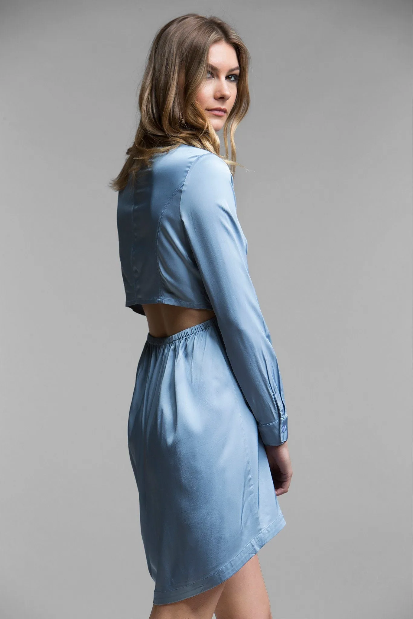 Juliette Button-Up Dress