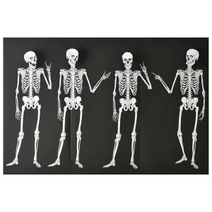 Skeletons Backdrop